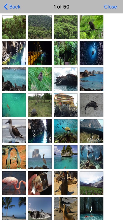 Galapagos Island - Guide screenshot-4