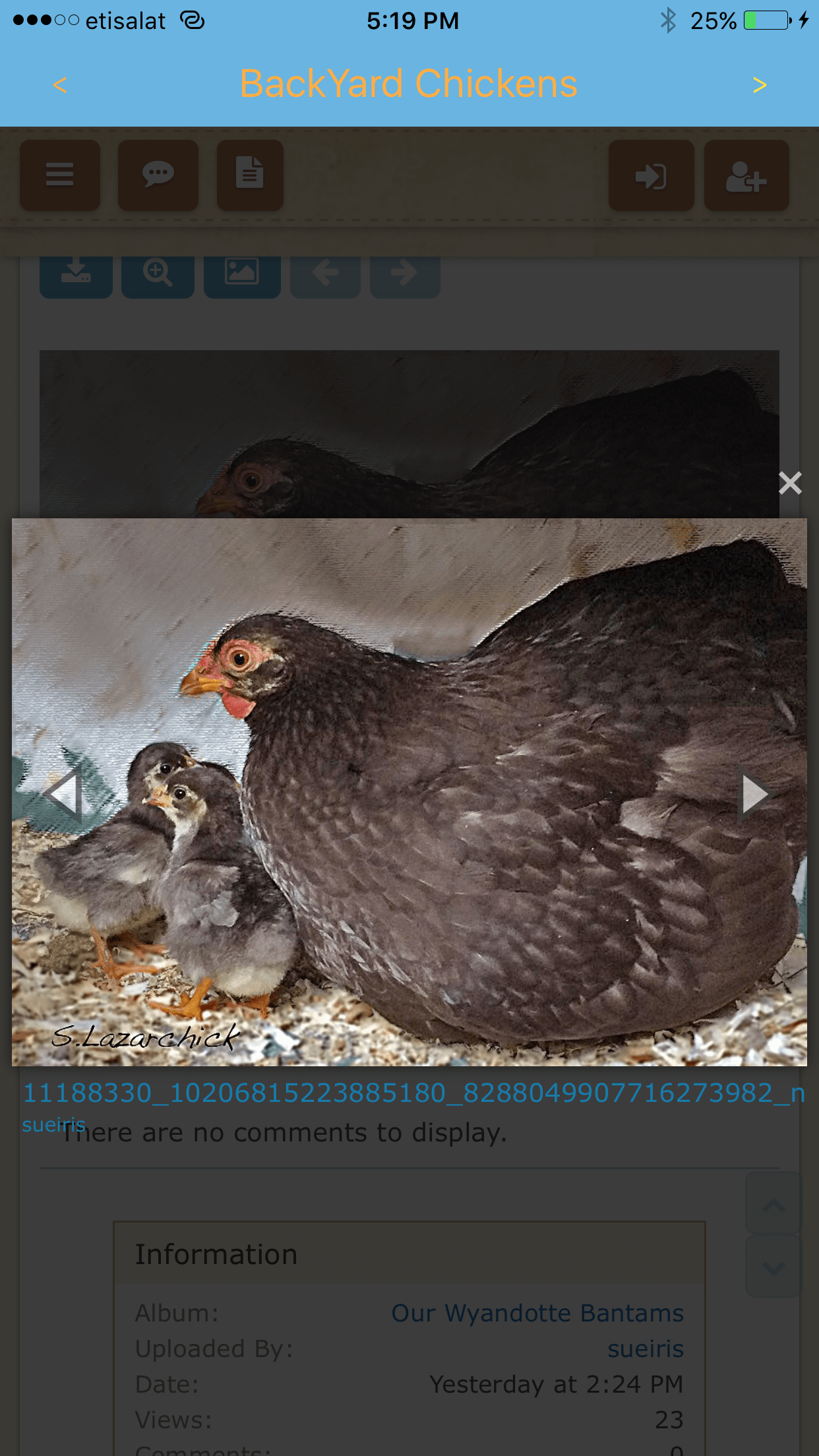 Backyard Chickens (BYC) screenshot 5