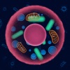 7th Guest: Infection icon