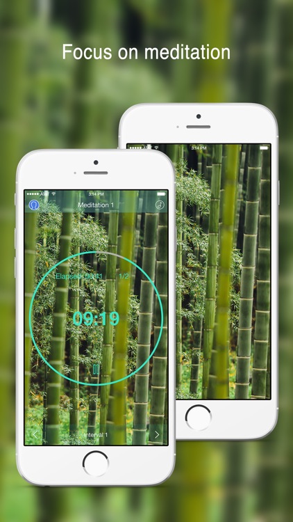 Zen Timer Pro screenshot-0
