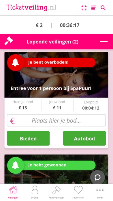 Ticketveiling.nl screenshot 3