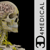 Brain & Nervous System Pro III - 3D4Medical from Elsevier