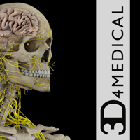 Brain and Nervous System Pro III