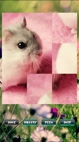 Game screenshot Hamster Puzzles mod apk