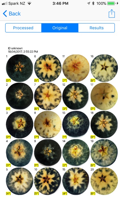SPI - NZ Apples & Pears