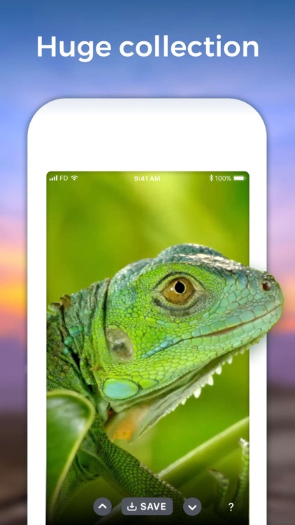 Live Wallpaper Animated Themes