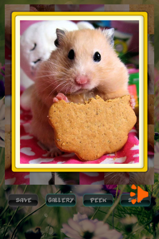 Hamster Puzzles screenshot 3