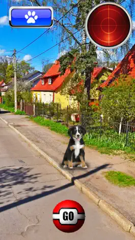 Game screenshot Pocket Dogs GO AR mod apk