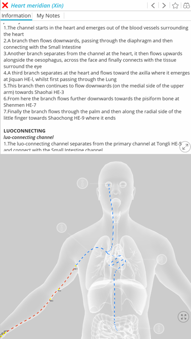 Visual Acupuncture 3Dスクリーンショット