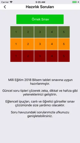 Game screenshot Bilsem Sınavı 1 + 15 deneme apk