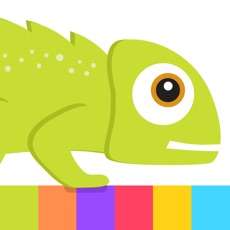 Activities of Chameleon Bounce by BCFG