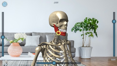 Virtual Skeleton screenshot 2