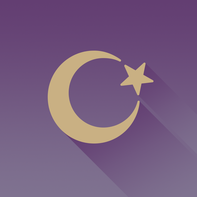 Inshallah - Single Muslim