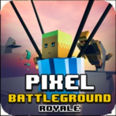 Activities of Pixel Battle Royale Ground Gun