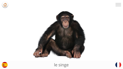 Screenshot #3 pour Jouer et apprendre l'espagnol