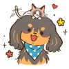 Cute Dachshund Dog Sticker