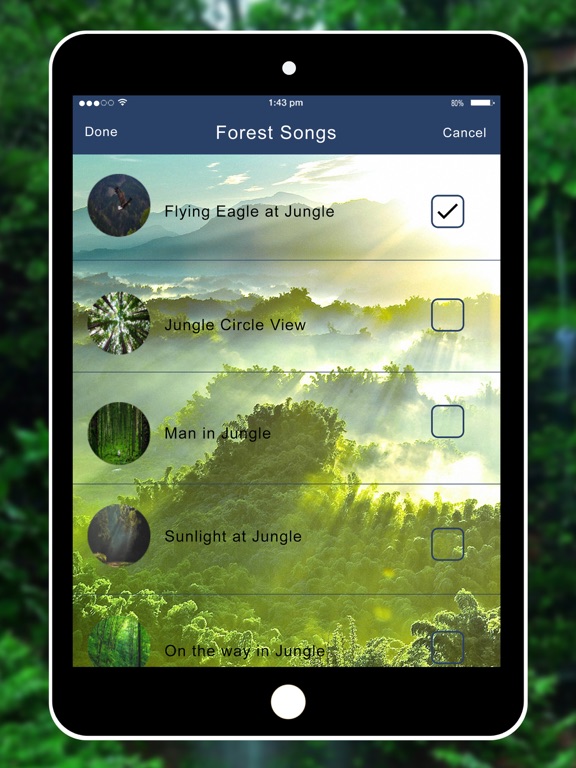 Screenshot #4 pour Relaxing Nature - Forest Sounds