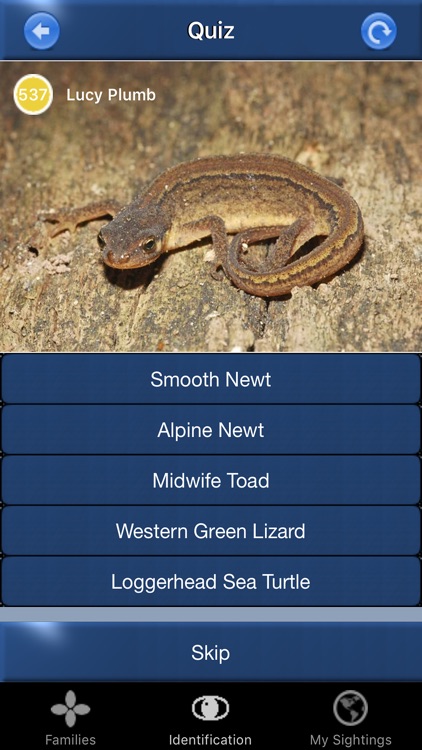 Reptile Id - UK Field Guide screenshot-3