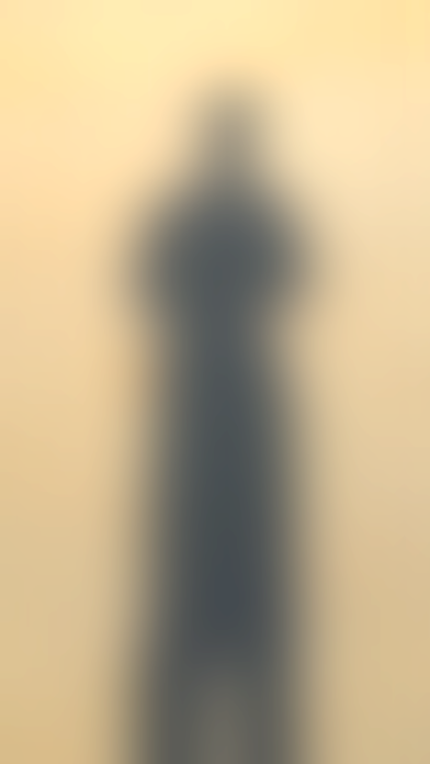 Screenshot 4 of Elliott's Blur App