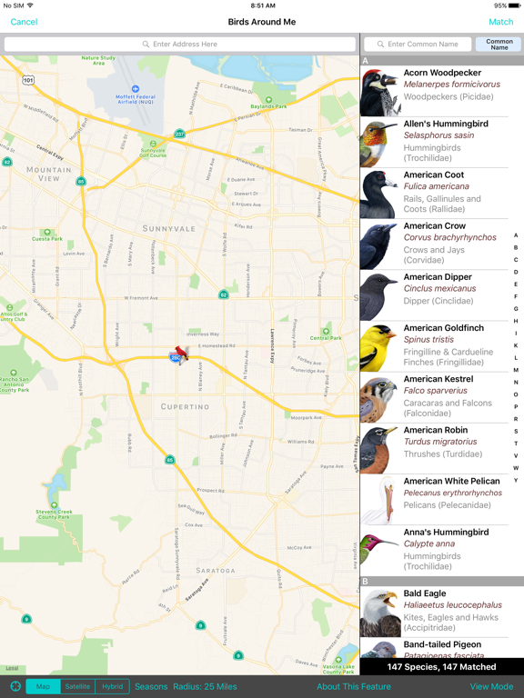 Screenshot #6 pour iBird Yard+ Guide to Birds