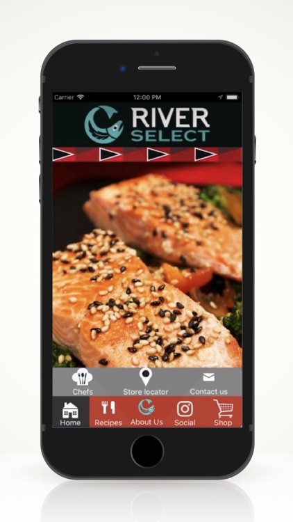 Wild Salmon Cookbook