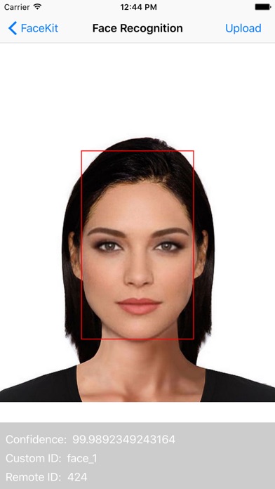 FaceKit - face detection screenshot 3