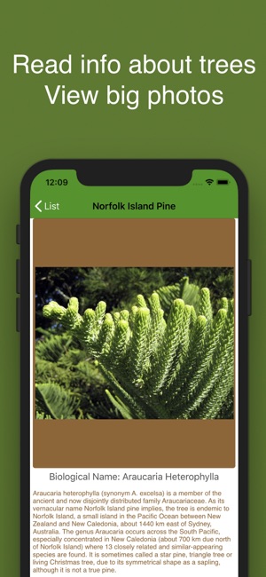 Forest Tree Identification(圖5)-速報App