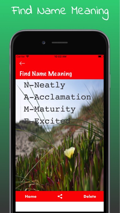 Find Name Meaning screenshot 4