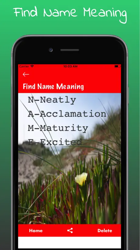 Find Name Meaning