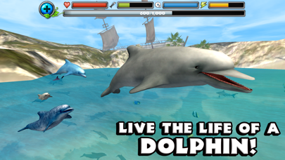 Dolphin Simulator screenshot 1