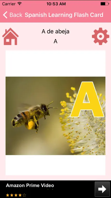 Spanish Learning Flash Card