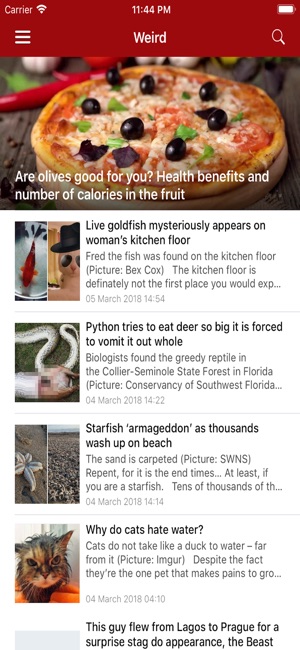 England Top News(圖7)-速報App