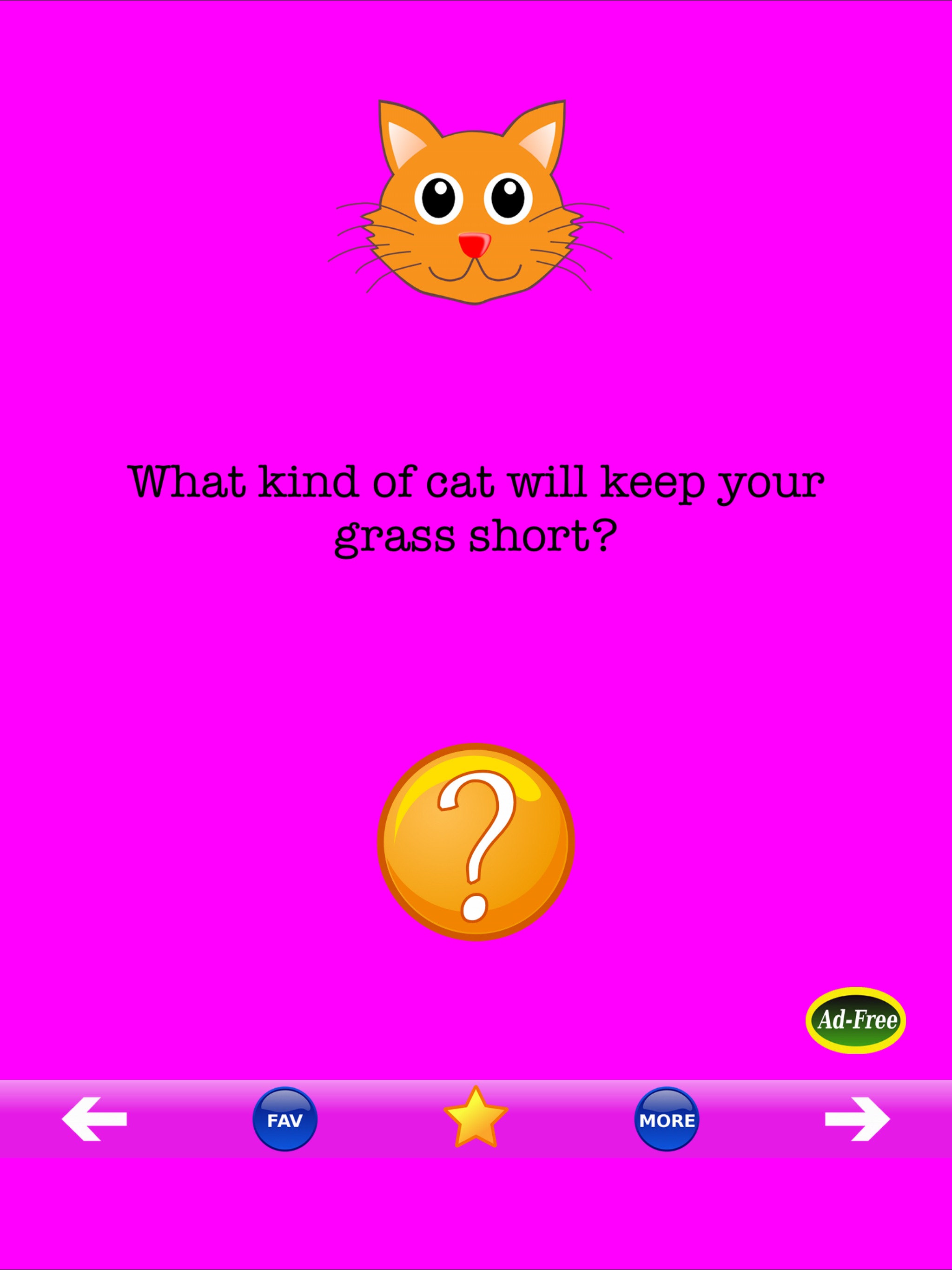 Funny Cat Jokes Laugh Out Loud