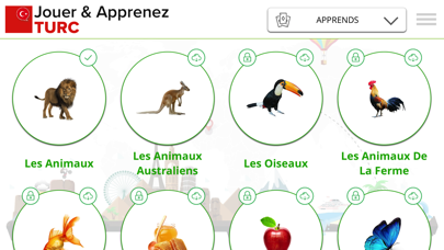 Screenshot #2 pour Jouer et apprendre TURKISH