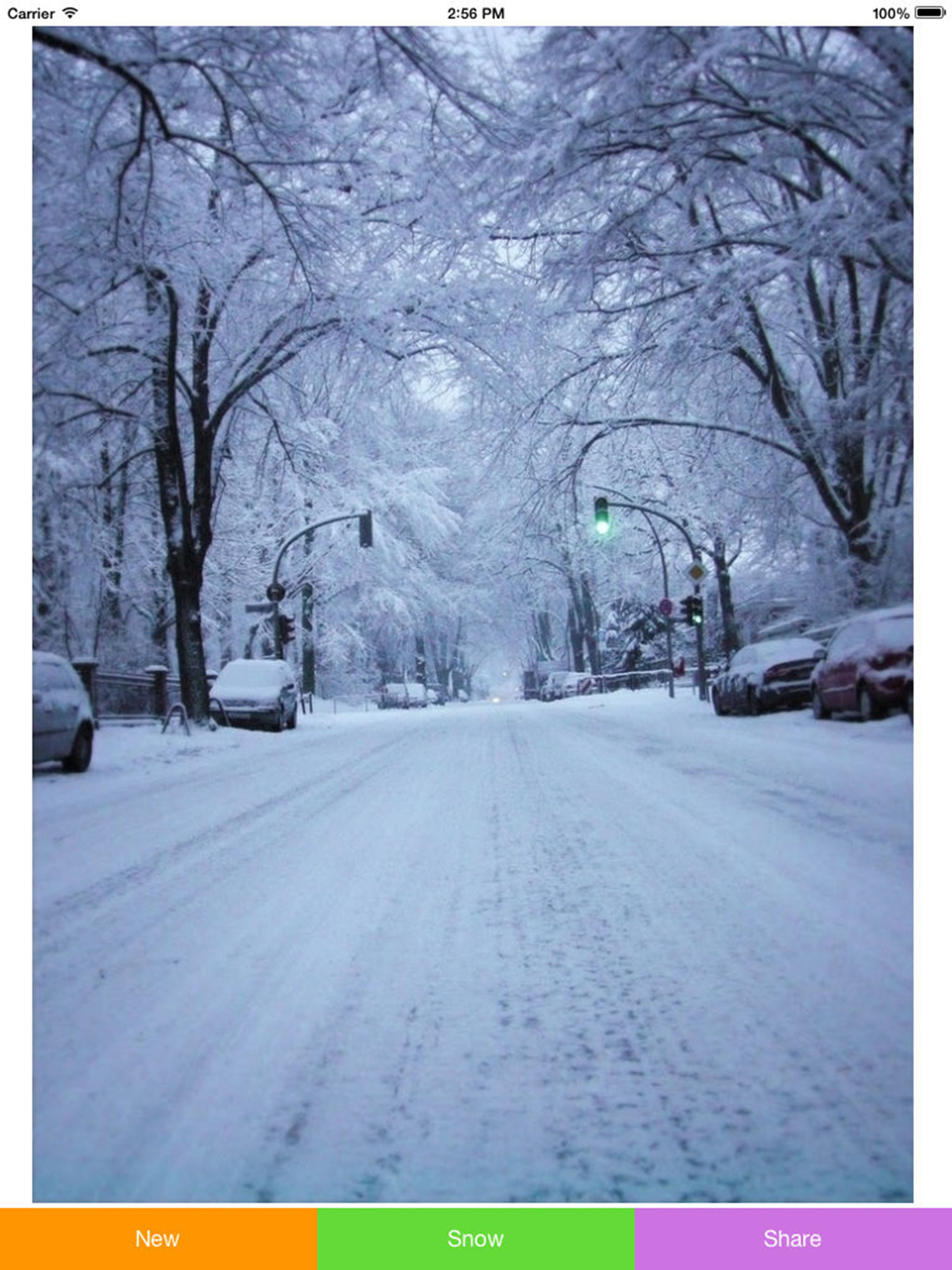 Snowing Pic