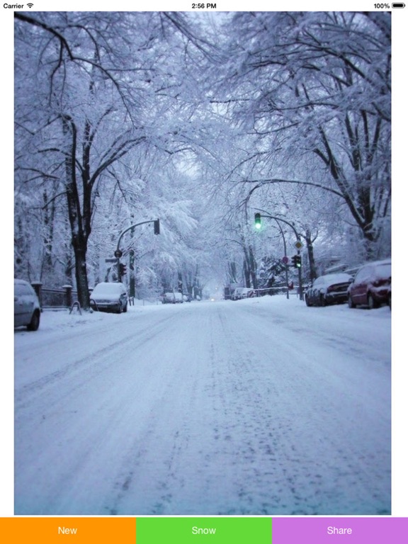 Screenshot #4 pour Snowing Pic