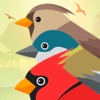 鳥のクレーム - iPhoneアプリ