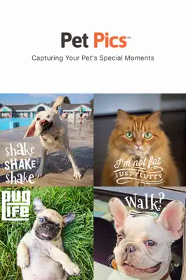 Game screenshot Pet Pics - Pet Photo Editor mod apk