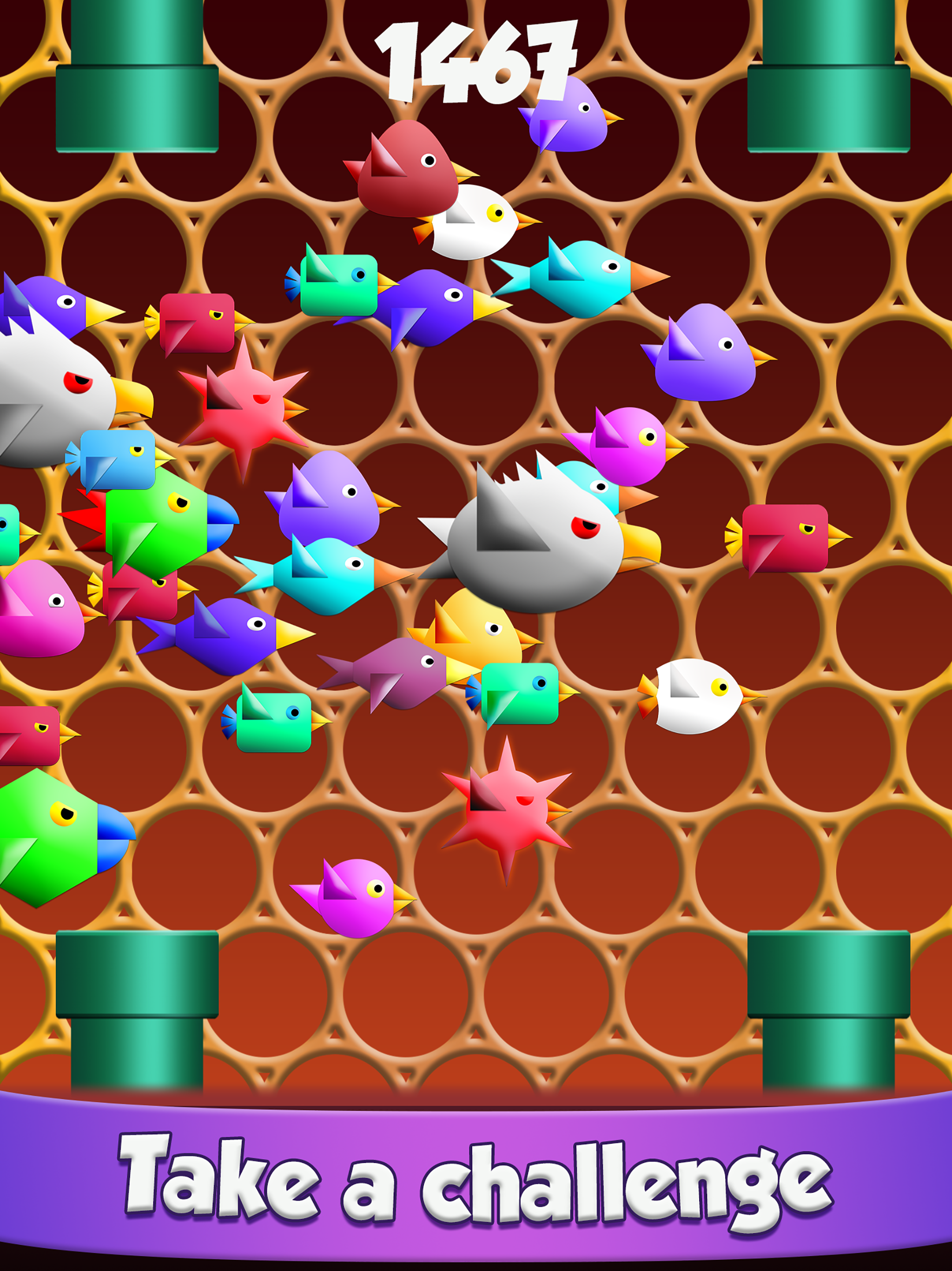 Cool Birds Game - Fun Smash