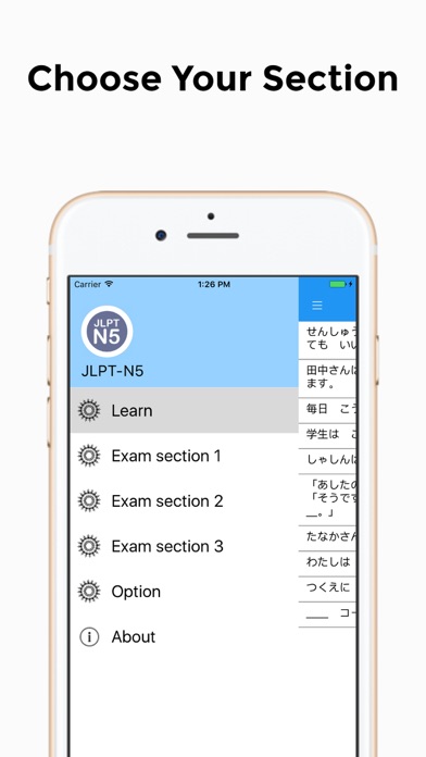 Smart JLPT N5 Grammar screenshot 2