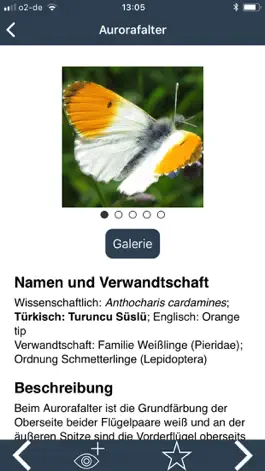 Game screenshot Zeit der Schmetterlinge hack