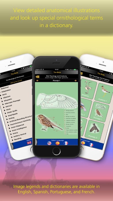 The Birds of Ecuador Screenshot