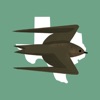 Texas Birds Sticker Pack - iPhoneアプリ