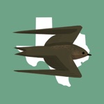 Download Texas Birds Sticker Pack app