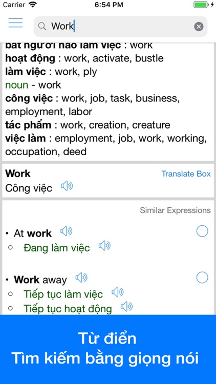Vietnamese Translator OFFLINE