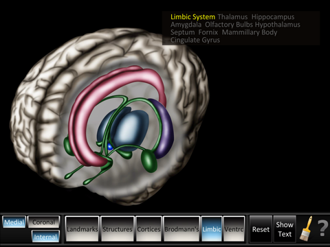 Cerebrum ID screenshot 4