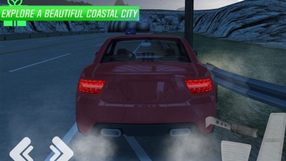 Ultimate Car Driving screenshot 3