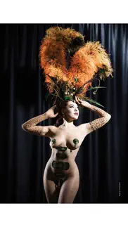 burlesque bible problems & solutions and troubleshooting guide - 4
