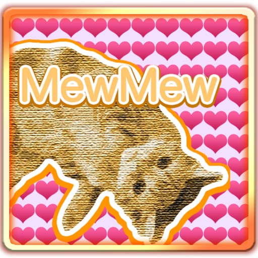 LovelyCatsCats