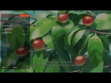 KPlayerAir